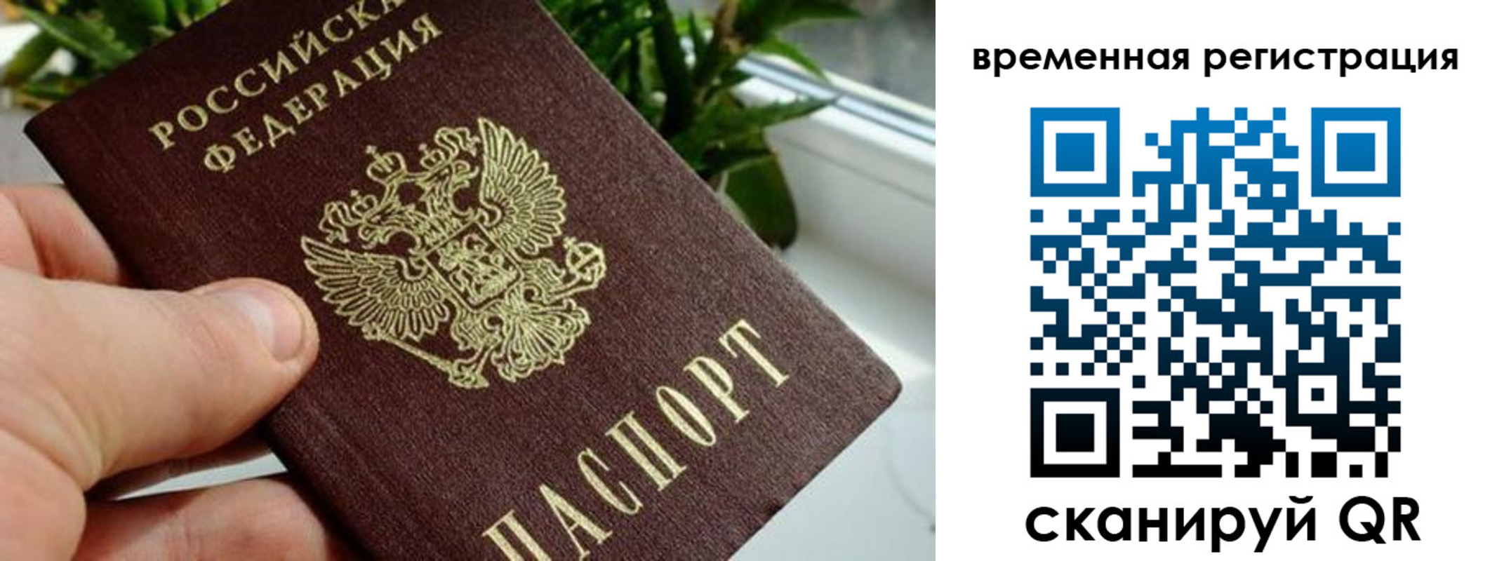 прописка поиск в Заозёрном
